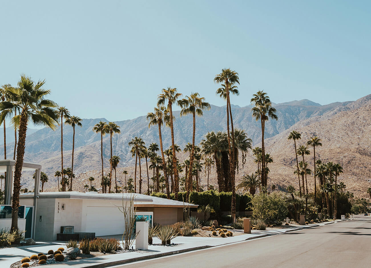 NLB_PalmSprings