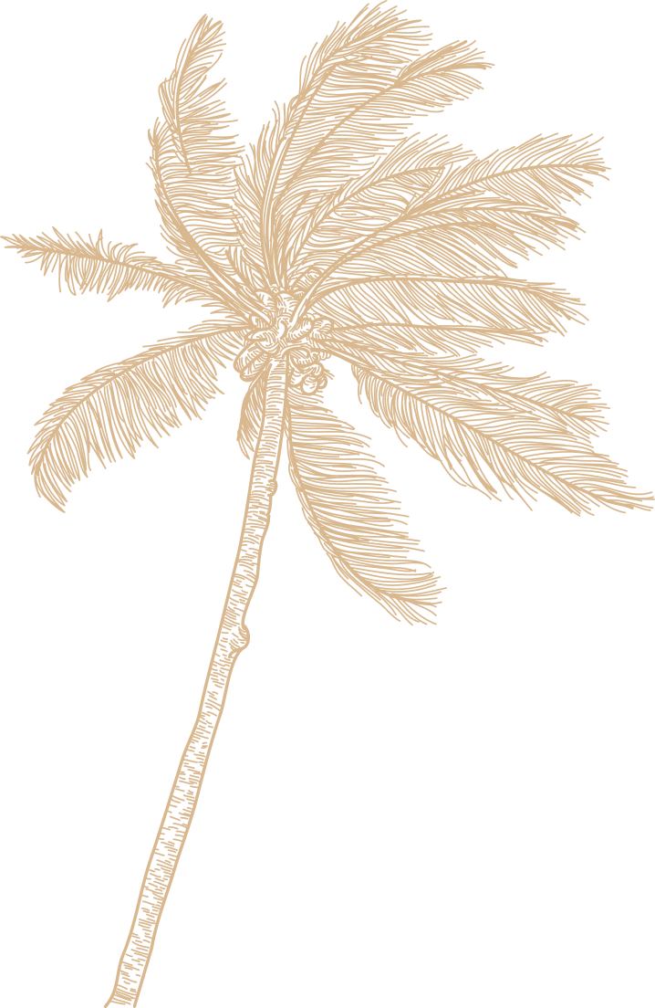 PalmTree